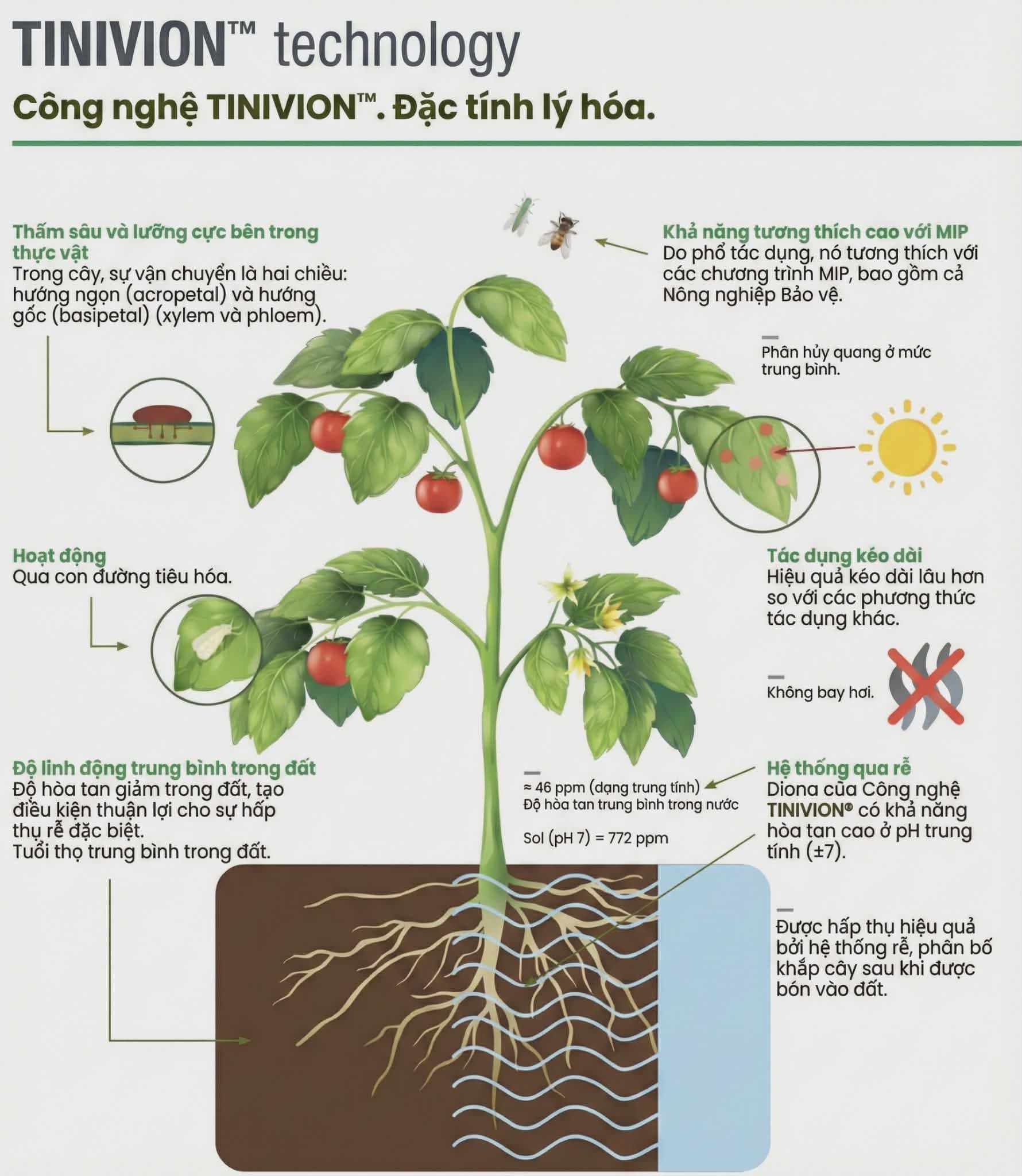Tất Tần Tật Về Elestal 300SC Và Công Nghệ Tinivion 