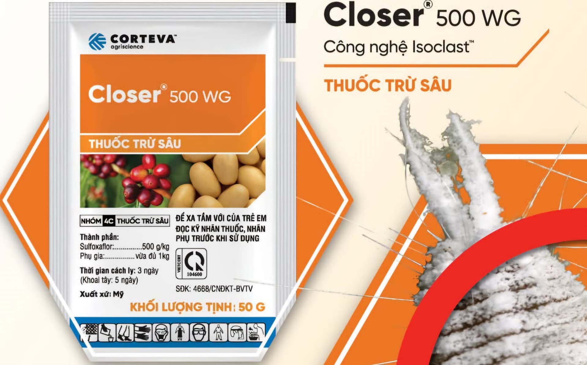 Closer 500WG – Giải pháp đột phá diệt rệp sáp nhờ Sulfoxaflor